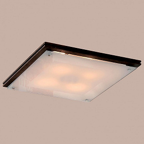 Накладной светильник Citilux 938 CL938541