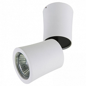 Светильник на штанге Lightstar Ballo 051176