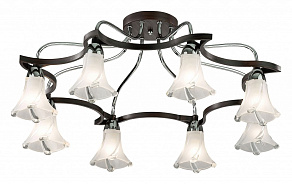 Потолочная люстра Odeon Light Iwo 2237/8С