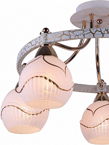 Потолочная люстра Arte Lamp Daniella A6173PL-5WG