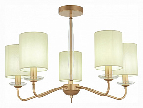 Люстра на штанге EVOLUCE Rita SLE108002-05