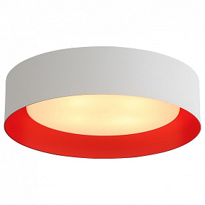 Накладной светильник ST-Luce Chio SL392.562.04