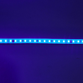 Лента светодиодная Eleganz  EL-220B