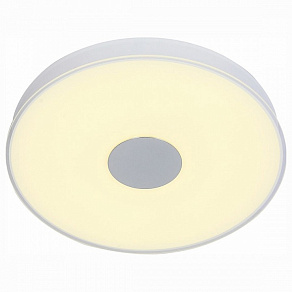 Накладной светильник ST-Luce Semplicita SL473.502.01D