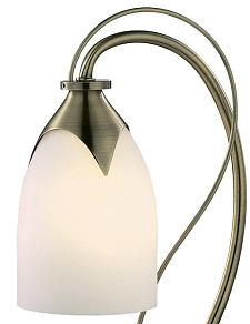 Настольная лампа декоративная Odeon Light Risto 2079/1T