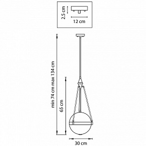 Светильник на штанге Lightstar Modena 816037