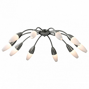 Потолочная люстра Odeon Light Chikko 2012/10C