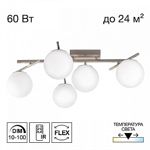Потолочная люстра Citilux Dorsy CL223151