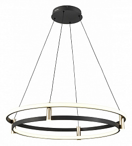 Подвесной светильник Vele Luce Libertas VL7314P24