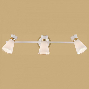 Спот Citilux Грейс CL528532