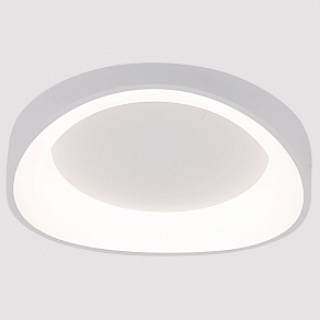 Накладной светильник Arte Lamp None A2698PL-48WH