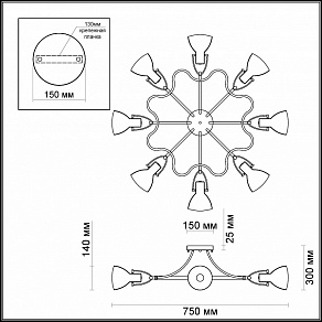 Накладной светильник Odeon Light Credo 3952/8C