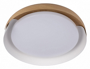 Накладной светильник Loft it Coin 10198 White