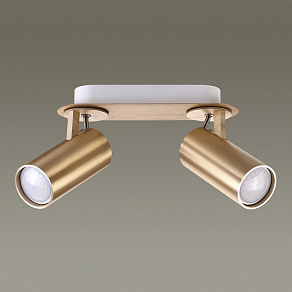 Спот Odeon Light Corse 3876/2C