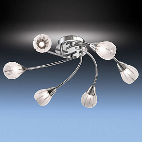 Потолочная люстра Odeon Light Posi 1613/6C