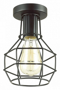 Накладной светильник Lumion Harald 3637/1C