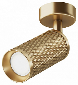 Спот Maytoni Focus Design C034CL-01G