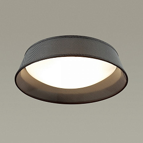 Накладной светильник Odeon Light Sapia 4158/3C