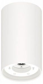 Накладной светильник Ambrella Light C C8161