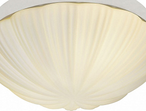 Накладной светильник ST-Luce Bagno SL495.502.02
