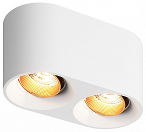 Накладной светильник Denkirs DK3040 DK3096-WH+BR