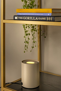 Настольная лампа декоративная Lucide TUBE 22552/05/41