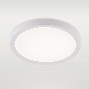 Накладной светильник Natali Kovaltseva PLAIN LED LAMPS 81113/1C