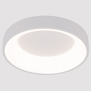 Накладной светильник Arte Lamp None A2695PL-40WH