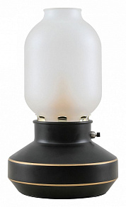Настольная лампа декоративная Lussole Anchorage LSP-0568