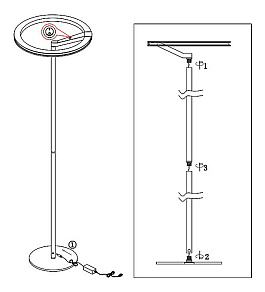 Торшер Globo Aosta 67068S