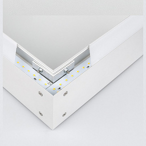 Накладной светильник Elektrostandard Grand 101-100-40-78