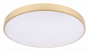 Накладной светильник Loft it Flims 10228/B