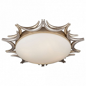 Накладной светильник Maytoni Cima H013CL-04G