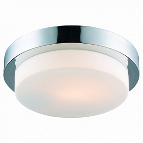 Накладной светильник ST-Luce Bagno SL498.502.01