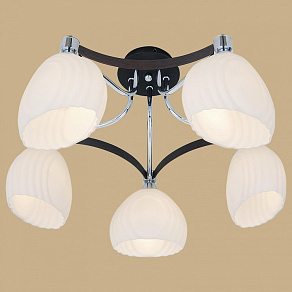 Потолочная люстра Citilux Ирис CL143151