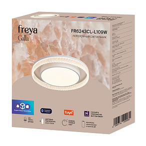 Подвесная люстра Freya Aletta FR6242PL-L24BS