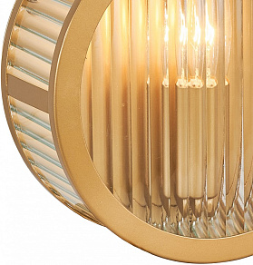 Накладной светильник Favourite Radiales 3099-1W