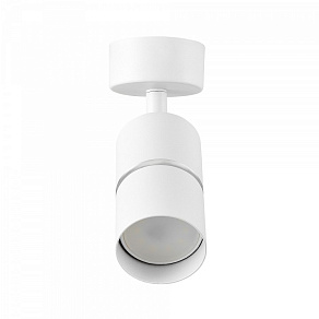 Спот Lampit ASTI TS TK40-C1 WT+CHR