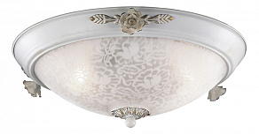 Накладной светильник Odeon Light Bone 2692/3C