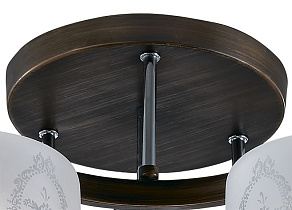 Потолочная люстра Odeon Light Runita 2759/6C