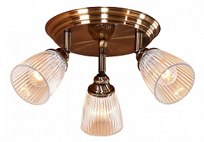 Спот Citilux Виндзор CL539631