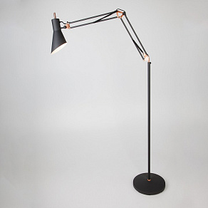 Торшер Eurosvet Norden 01033/1 черный