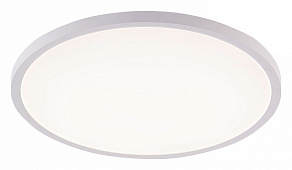 Накладной светильник Natali Kovaltseva PLAIN LED LAMPS 81113/5C