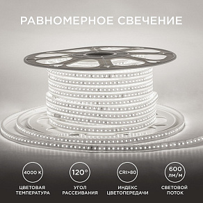 Лента светодиодная Apeyron Electrics  17-40