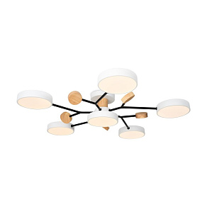 Люстра на штанге Freya Crown FR6119CL-L48W