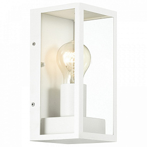 Накладной светильник Odeon Light Argos 4166/1W