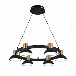 Подвесная люстра Indigo Traforo 11059/6P Black