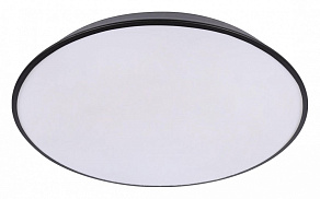 Накладной светильник Loft it Brim 10226 Black