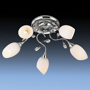 Потолочная люстра Odeon Light Fiera 1603/5