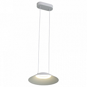 Подвесной светильник ST-Luce Pitto SL427.503.01